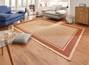 Natural Classy Red Brown Rug
