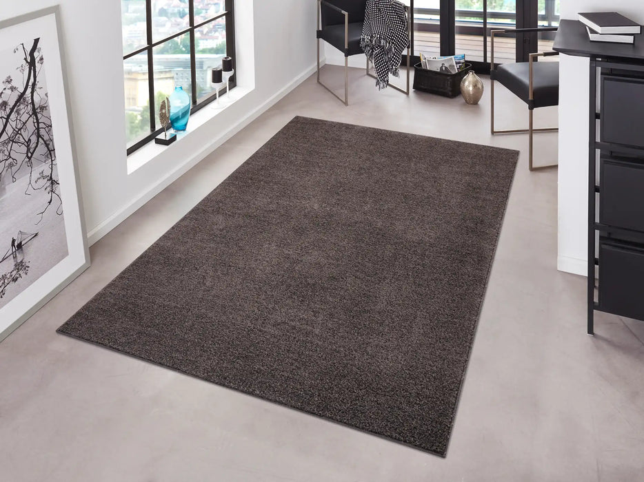Hanse Home pure 102661 anthracite Black Living Room Rug.