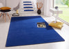 Hanse Home fancy blue Blue Living Room  Rug.