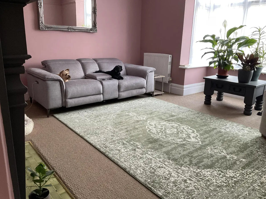 Photo by Lynn R. | Living room with a gray sofa, green patterned rug 105519, and pink walls.