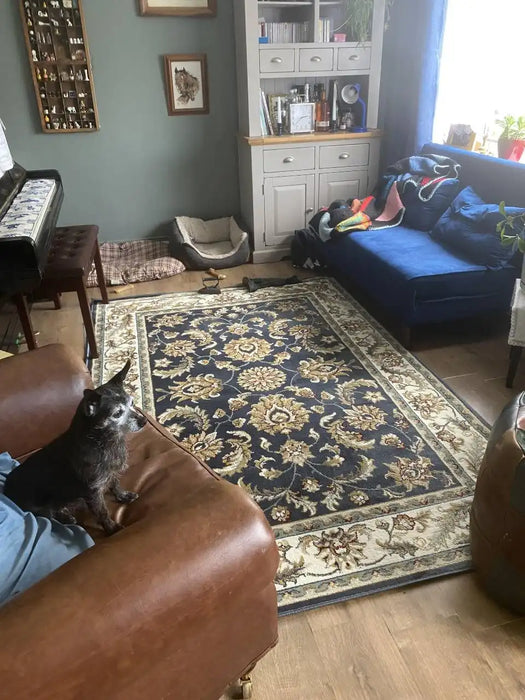 Photo by Freida R., | Hanse Home luxor 105640 blue Living Room  Rug.