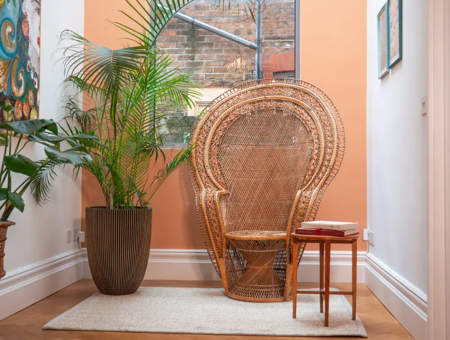 Photo by Biff | Wicker peacock chair in a room with a plant and small table. On a Sisal Rug