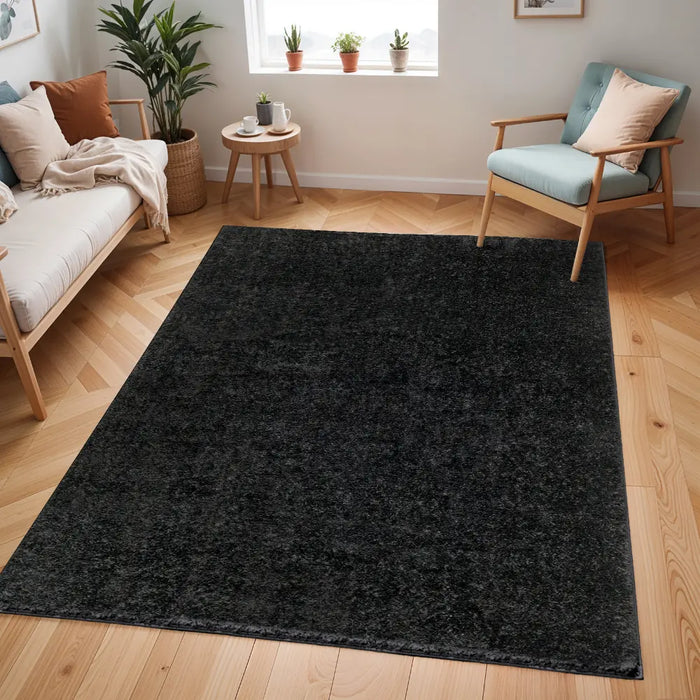 CLAIRE Shaggy Solid Color Plush Pile Black Rug Black