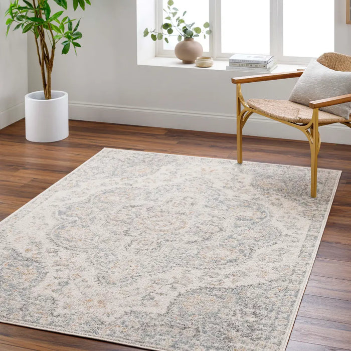 JULIA Vintage Traditional Oriental Boho Light Grey Rug