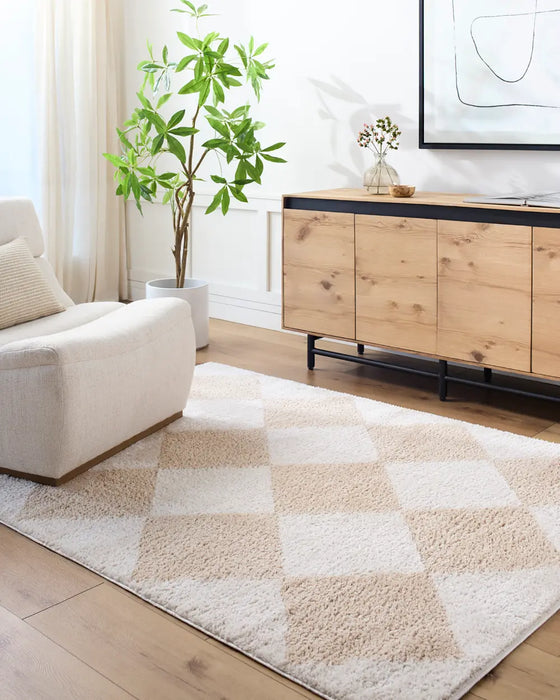 DELINE Machine Washable Modern Shaggy Beige Rug