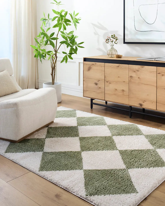 DELINE Machine Washable Modern Shaggy Grass Green Rug