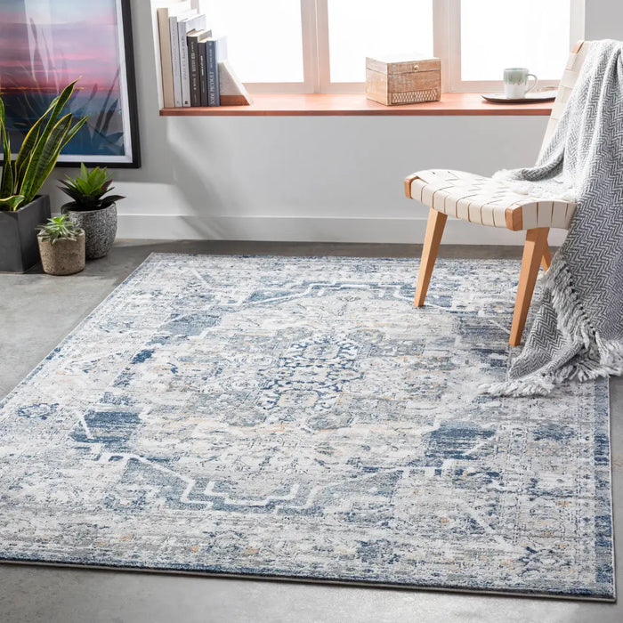 ISABELLA Vintage Traditional Oriental Boho Medium Grey Rug