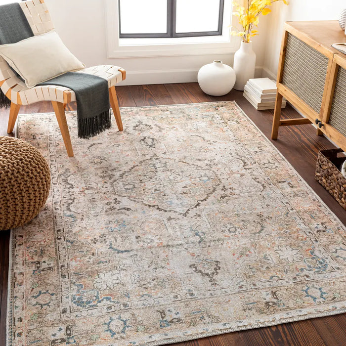 CLARA LAKE Machine Washable Traditionnal Boho Taupe Rug
