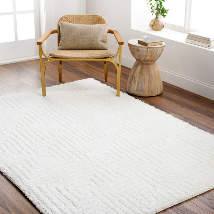 DARIANA Shaggy Modern Plush Pile Ivory Rug