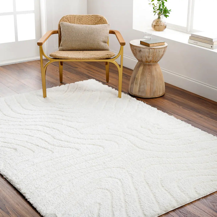 DANAE Shaggy Modern Plush Pile Ivory Rug