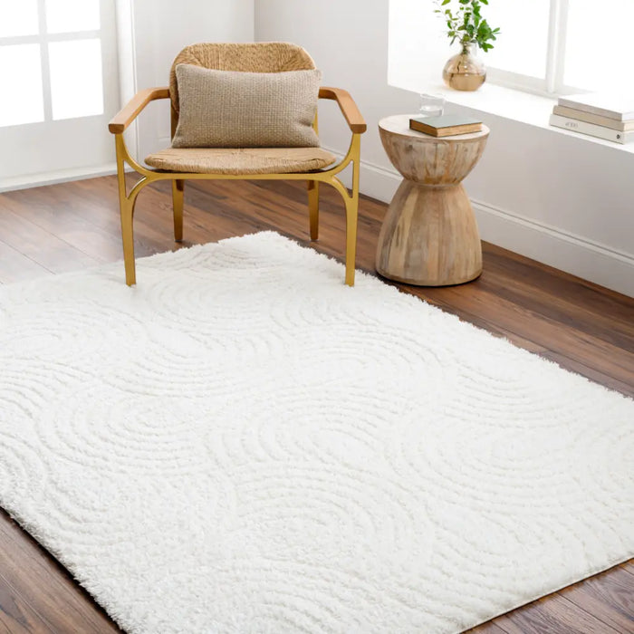 RUNA Shaggy Modern Plush Pile Light Beige/Ivory Rug