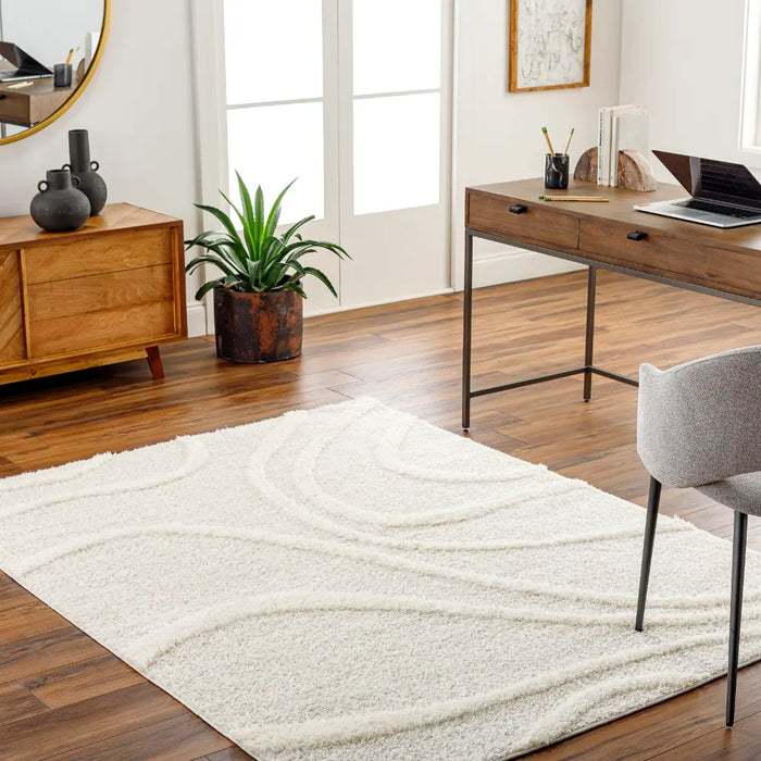 KOTIRA Shaggy Modern Plush Pile Beige Rug