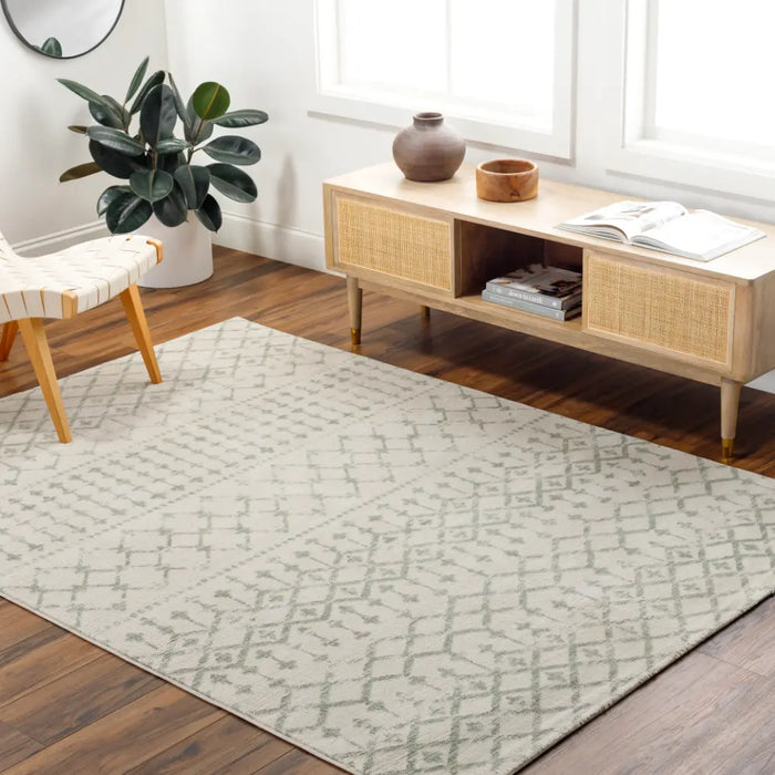 TARYN Berber High Pile Geometric Sage Rug