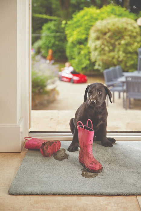 Origins sense ghost grey Grey Living Room Shaggy Rug.
