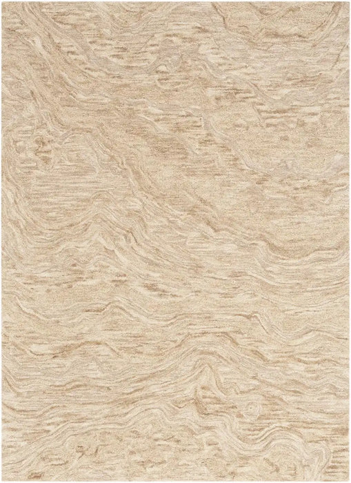 Nourison graceful gru01 taupe Brown, Beige Living Room Wool Rug.