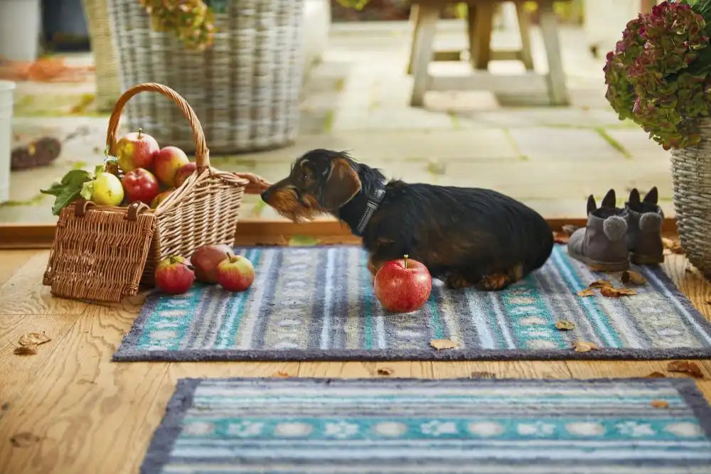 Hug Rug hug rug pet pet 80 Blue, Multicoloured Kitchen Doormat Rug.
