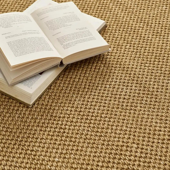 Origins origins sisal warm natural with dark brown border Beige Living Room Natural Fibre Rug.