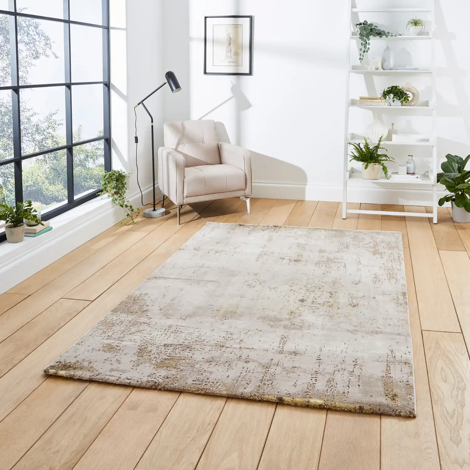 Do you sell the Florence 50034, beige and gold in size 160cm x 220cm?