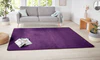 Nasty 101150 Purple Rug Questions & Answers