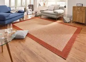 Natural Simple Red Rug