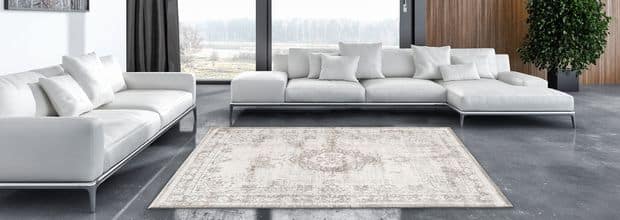 carpet in the middle of a modern living room
