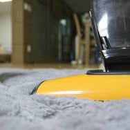 shaggy rug and a yellow hoover