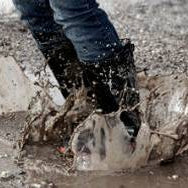 How to get mud out of rugs