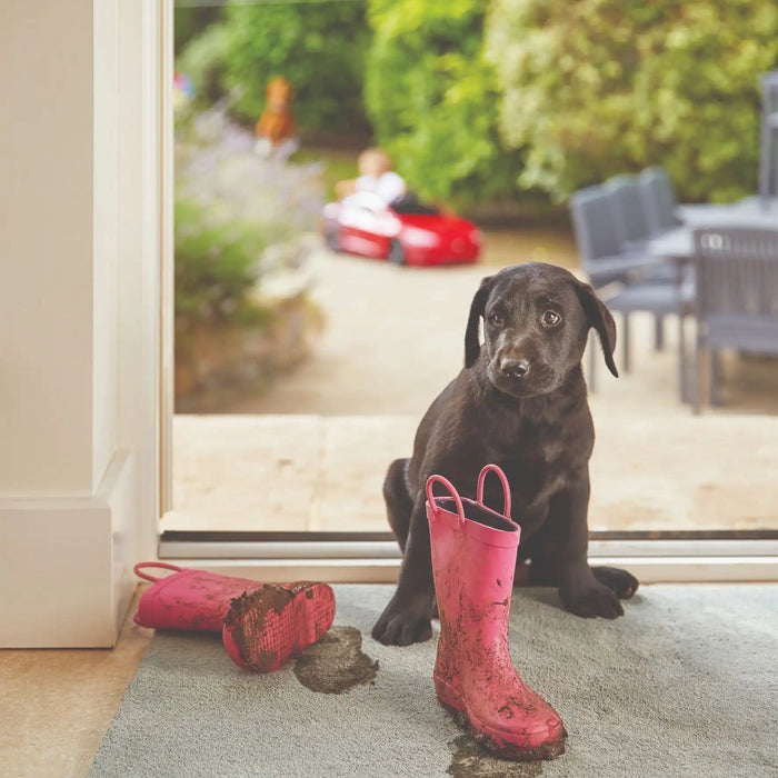 How to Easily Clean Your Rugs With Baking Soda