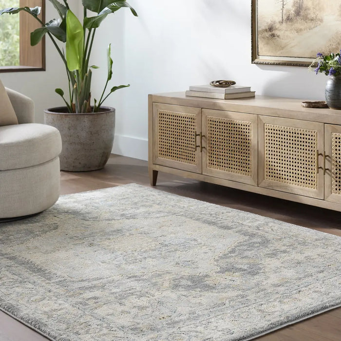 Avellino Vintage Traditional Boho High Pile AVL2303 Rug