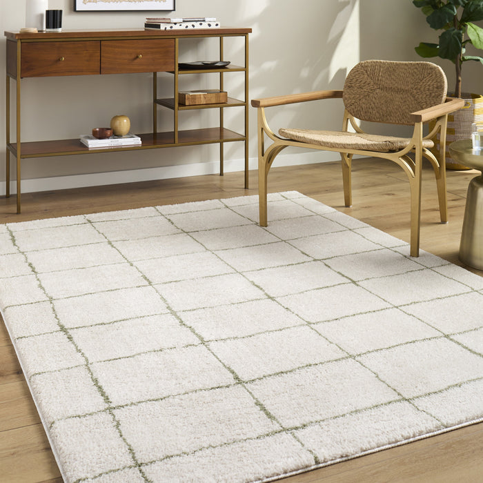 Tivoli Washable Modern High Pile EDRV2301 Rug