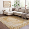 Fifth Avenue Vintage Traditional Boho Fringe FIF2310 Rug