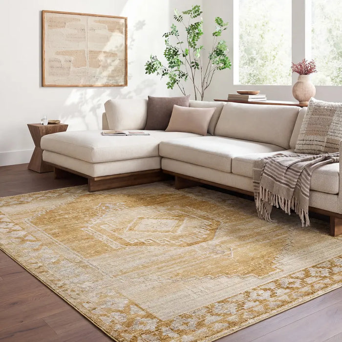 Fifth Avenue Vintage Traditional Boho Fringe FIF2310 Rug