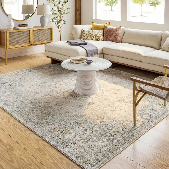 Avellino Vintage Traditional Boho High Pile AVL2316 Rug