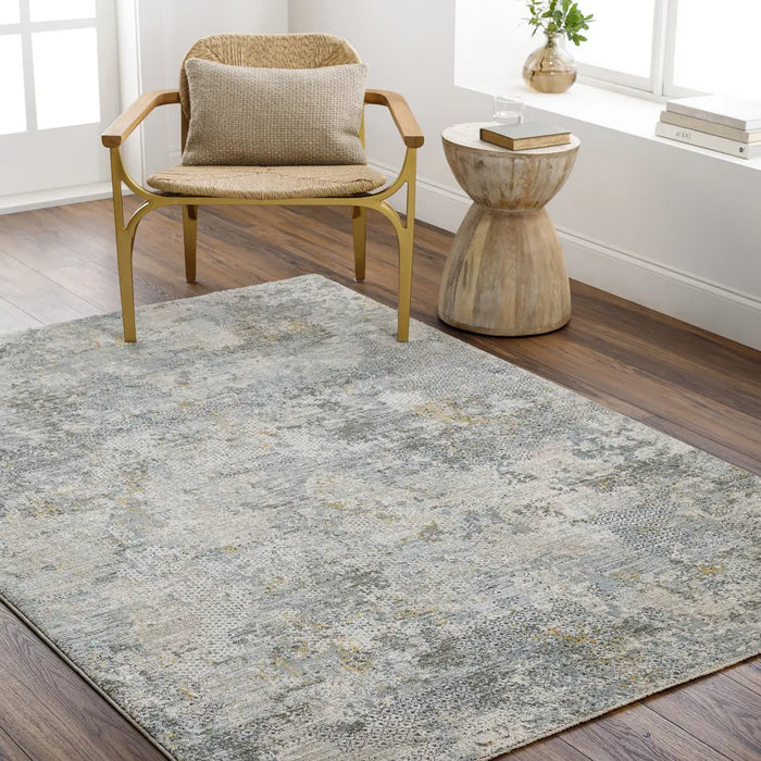 Dresden Vintage Traditional Boho Fringe DRE2302 Rug