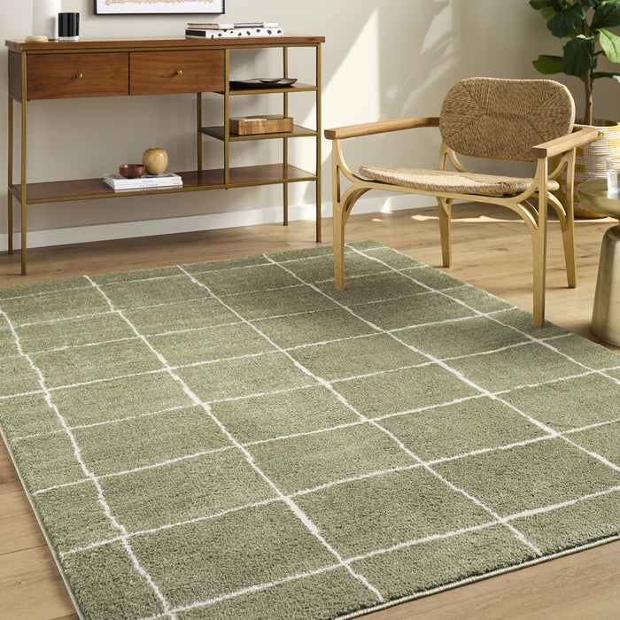 Tivoli Washable Modern High Pile EDRV2302 Rug