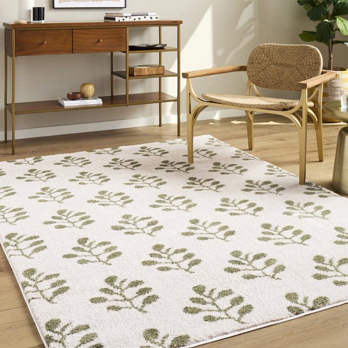 Tivoli Washable Modern High Pile EDRV2304 Rug