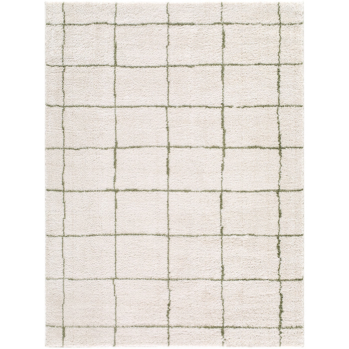 Tivoli Washable Modern High Pile EDRV2301 Rug