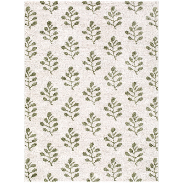 Tivoli Washable Modern High Pile EDRV2304 Rug