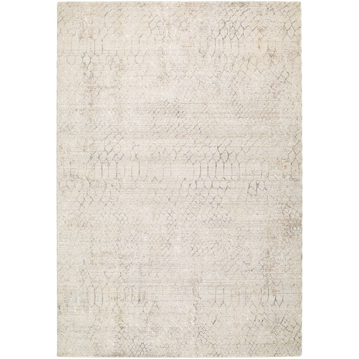 Nathan Modern Graphic NTH2301 Rug