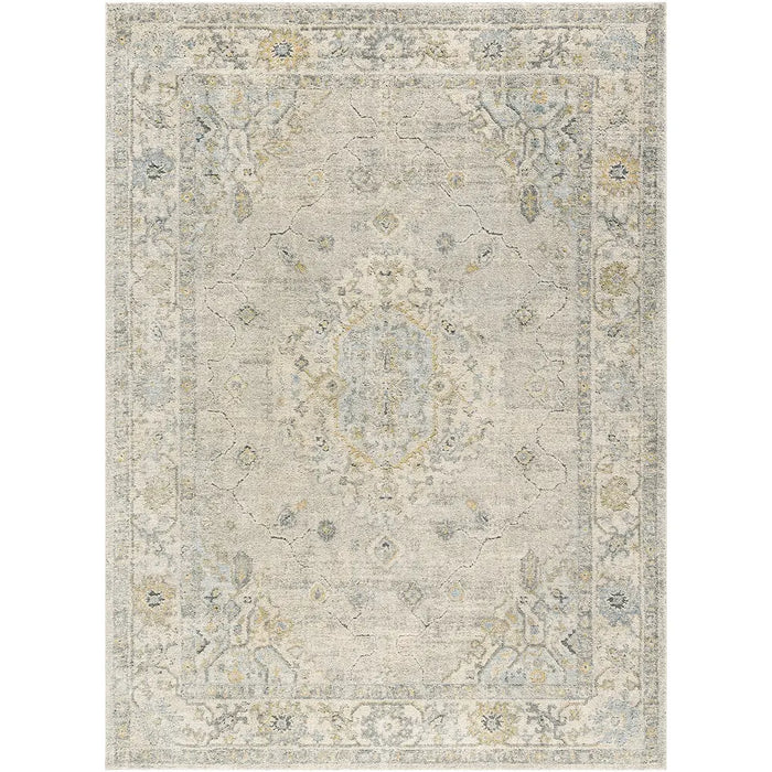 Avellino Vintage Traditional Boho High Pile AVL2316 Rug