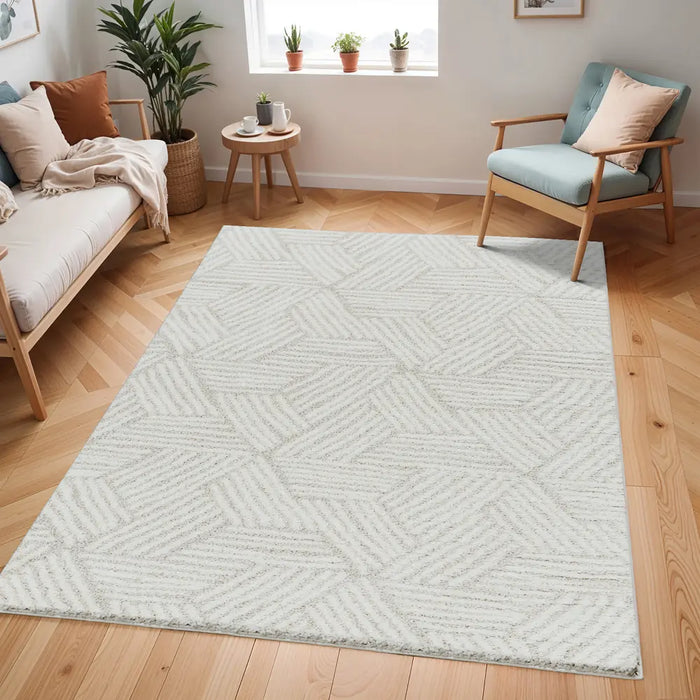 Allie Shaggy Geometric Plush Pile Beige Rug CDG2319