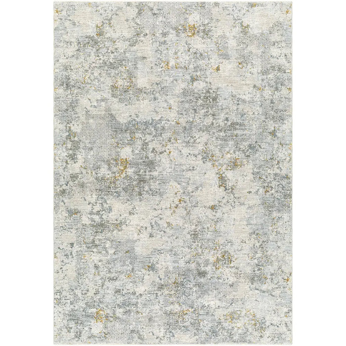 Dresden Vintage Traditional Boho Fringe DRE2302 Rug