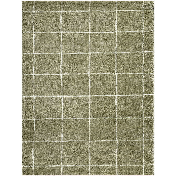 Tivoli Washable Modern High Pile EDRV2302 Rug