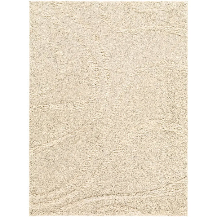 Rodos Modern Soft Plush Pile RDO2354 Rug