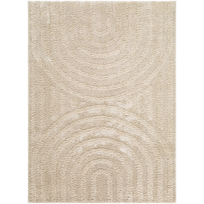 Rodos Modern Soft Plush Pile RDO2358 Rug