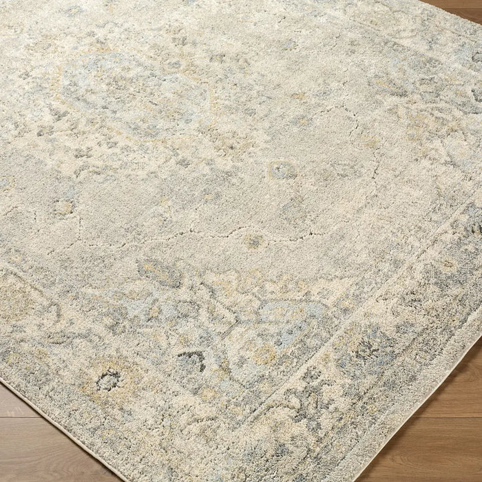 Avellino Vintage Traditional Boho High Pile AVL2316 Rug