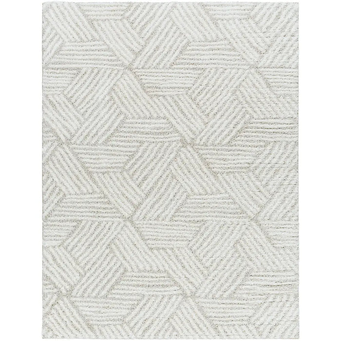 Allie Shaggy Geometric Plush Pile Beige Rug CDG2319