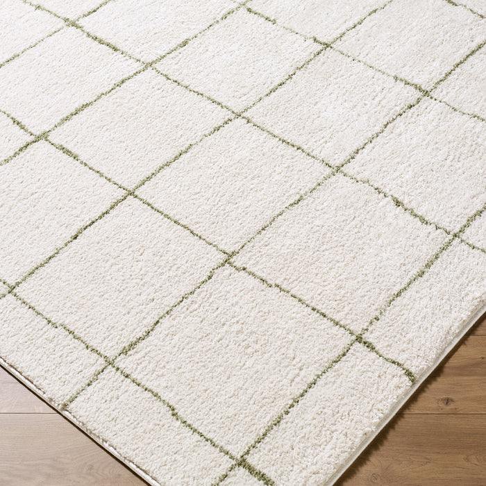 Tivoli Washable Modern High Pile EDRV2301 Rug