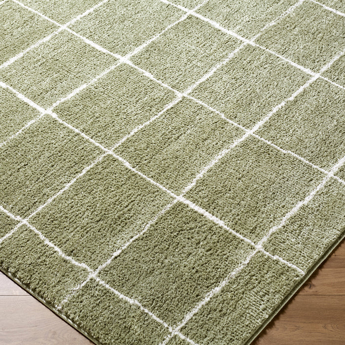 Tivoli Washable Modern High Pile EDRV2302 Rug