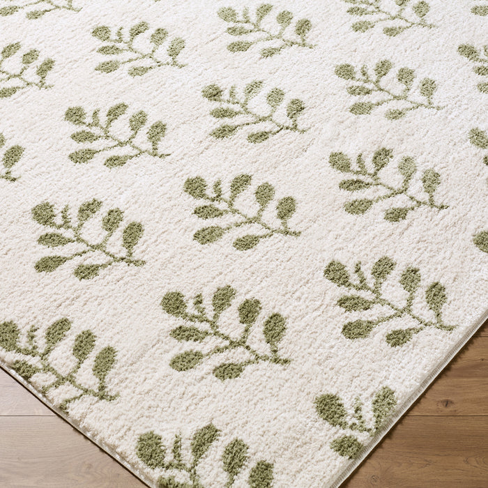 Tivoli Washable Modern High Pile EDRV2304 Rug